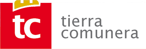 Logo TC 2007